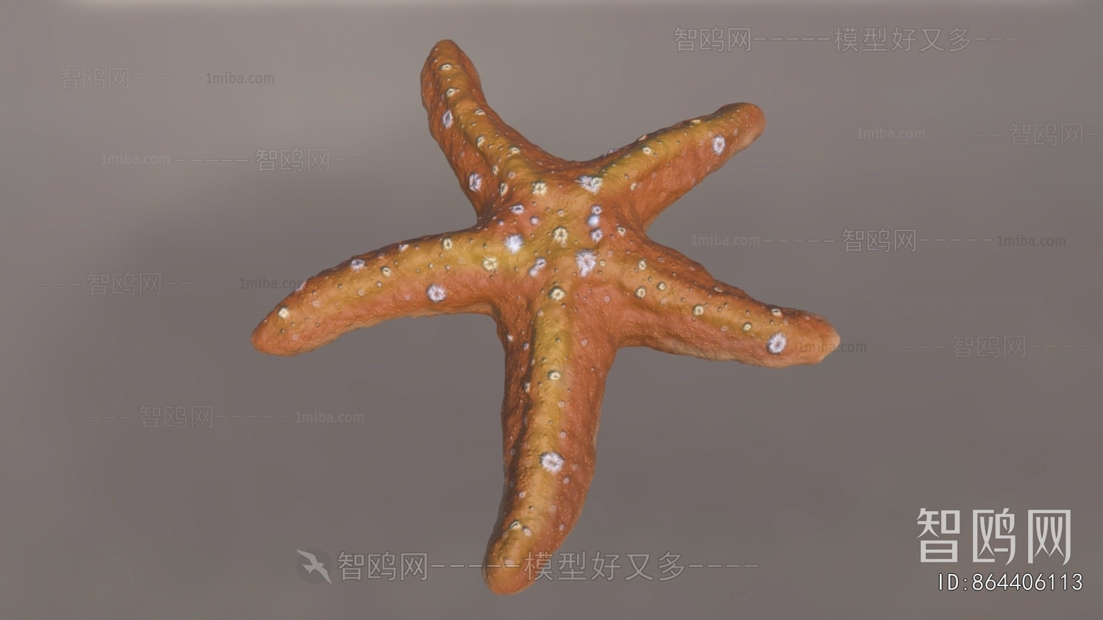 Modern Aquatic Animals