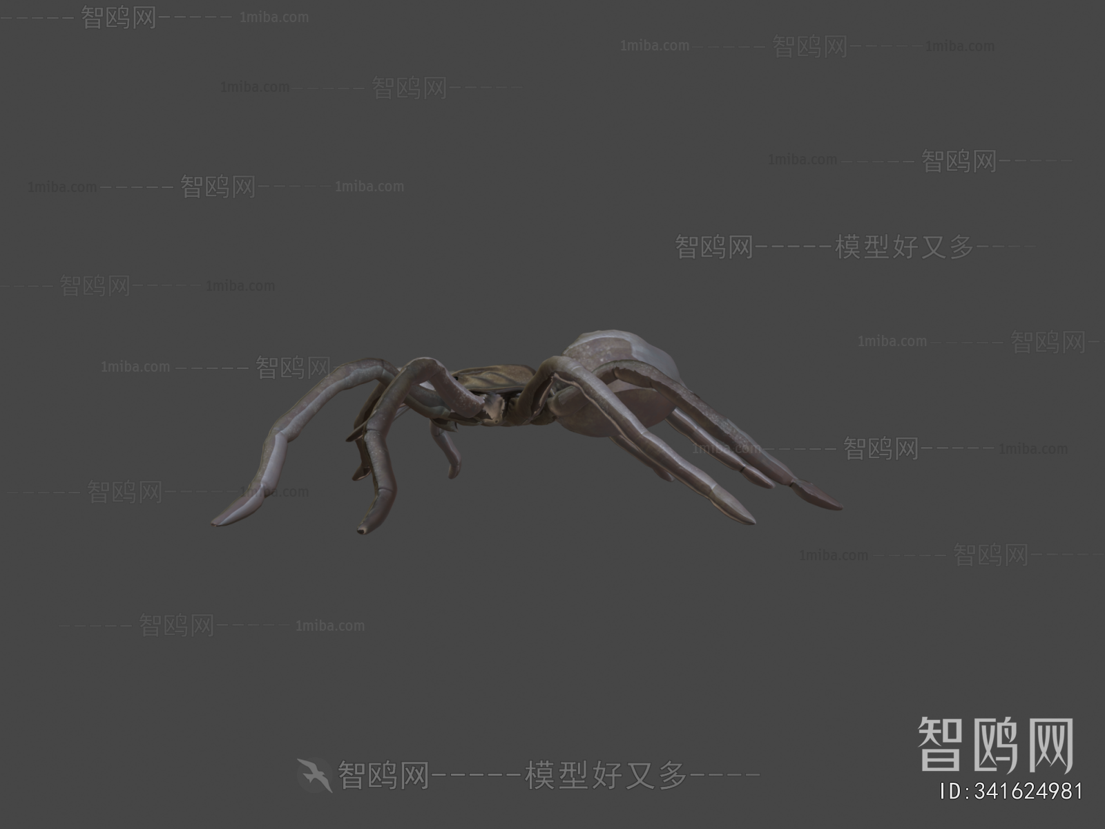 Modern Animal