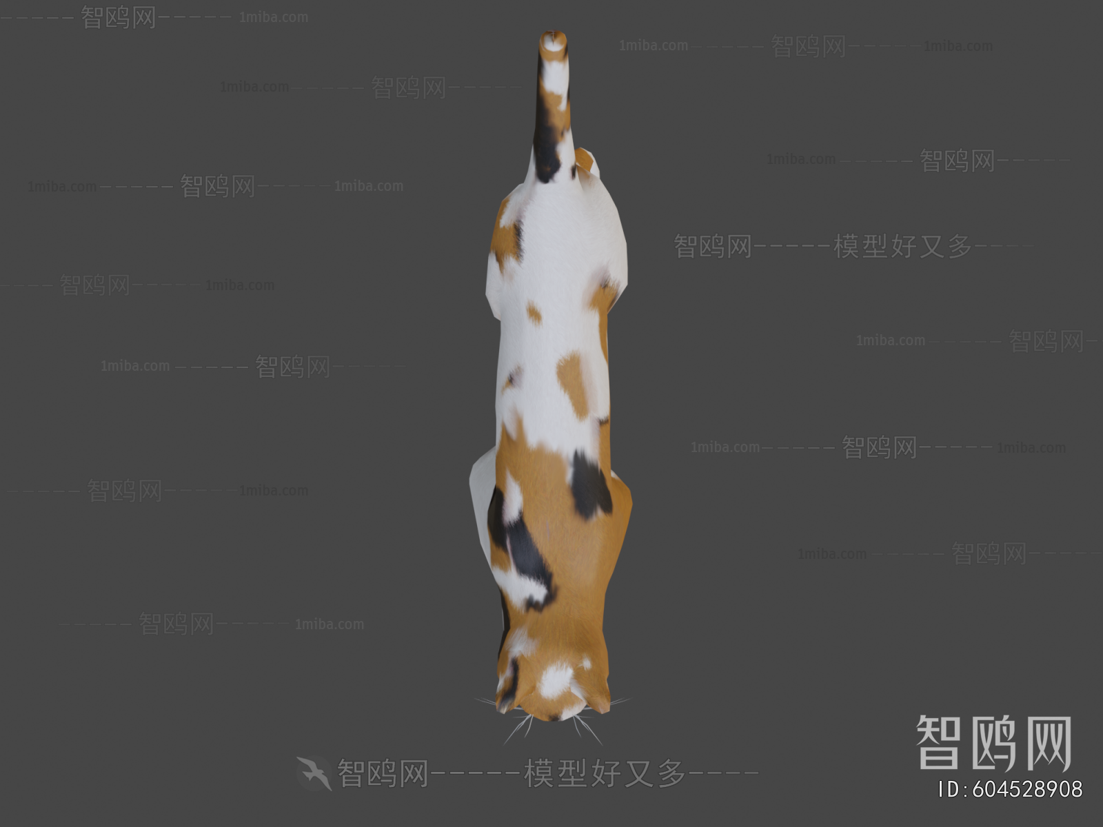 Modern Animal