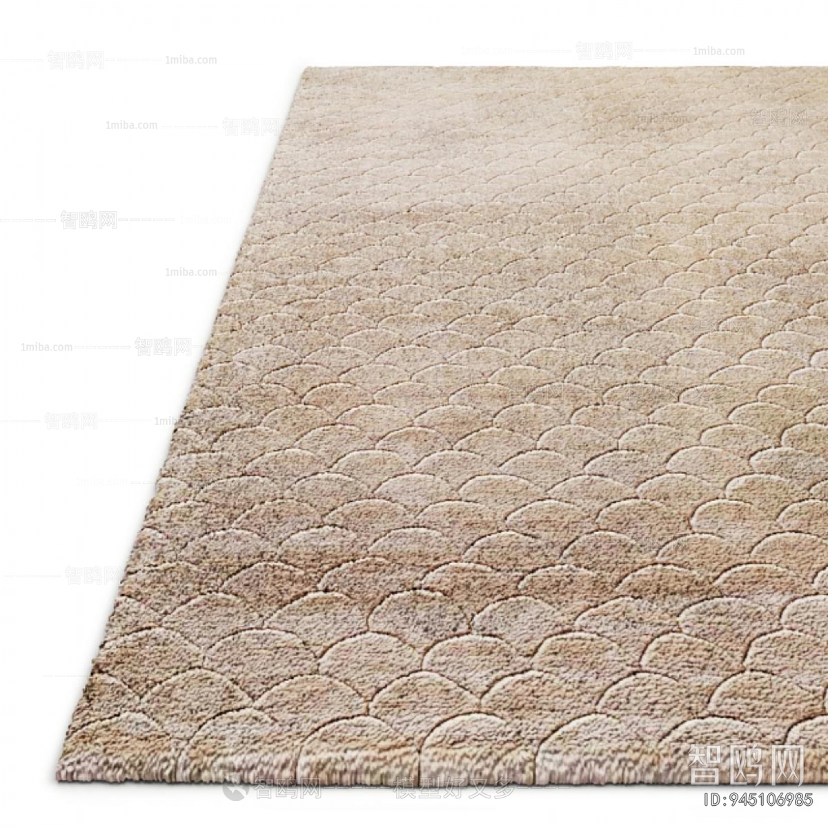 Modern The Carpet
