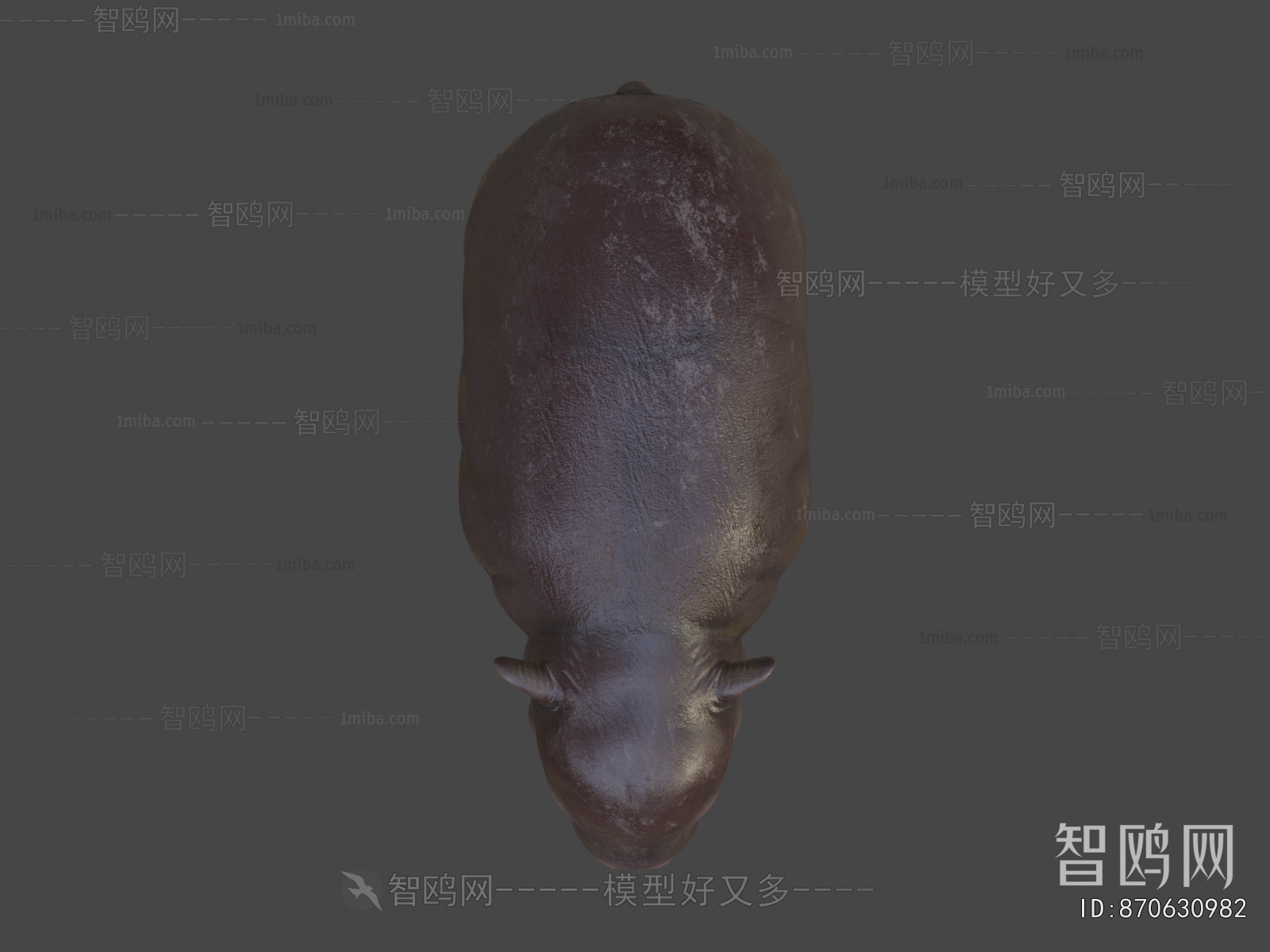 Modern Animal