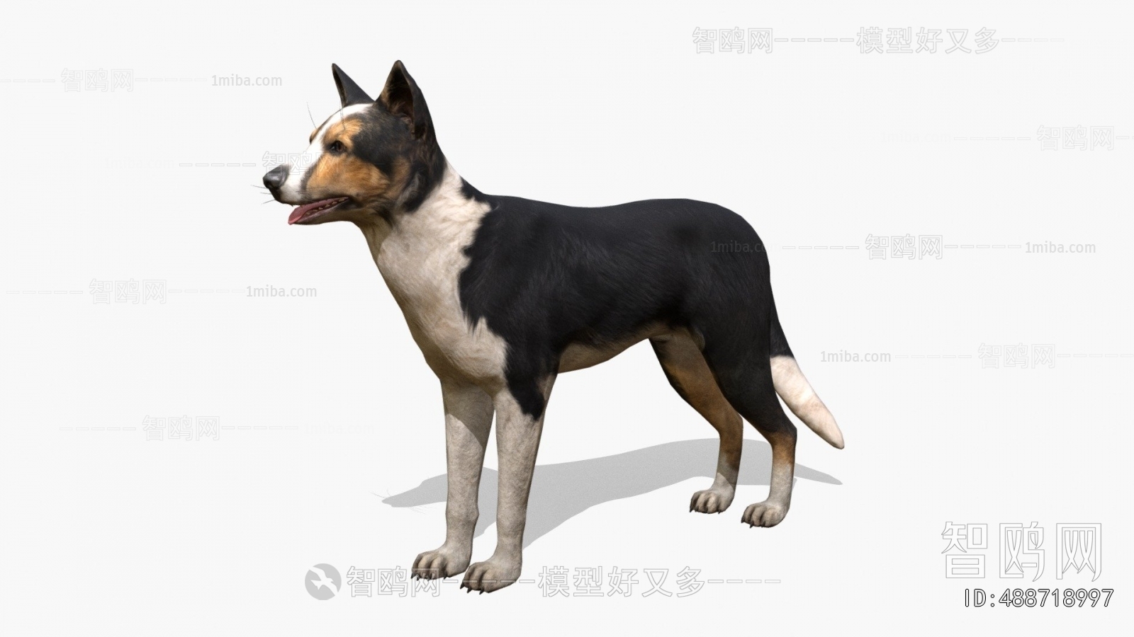 Modern Animal Dog