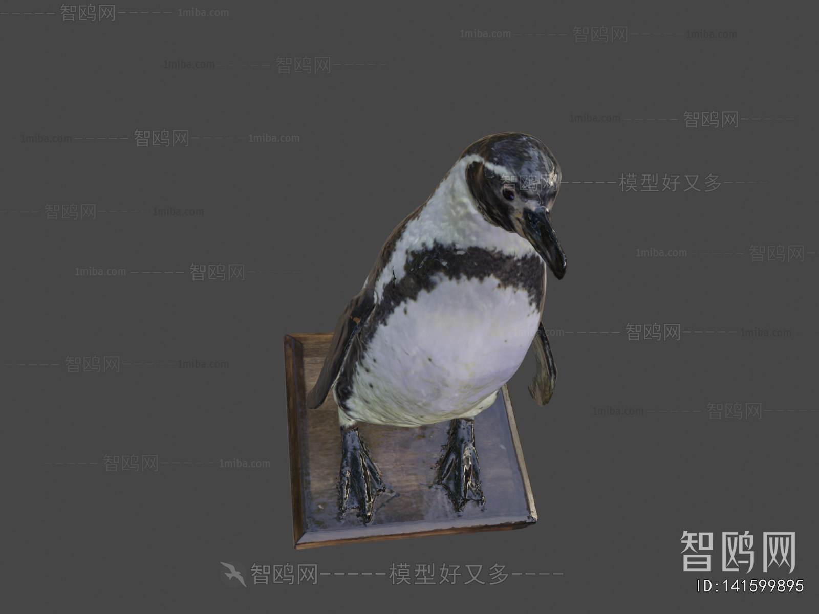 Modern Animal