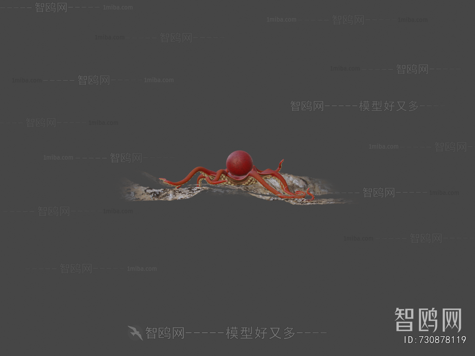 Modern Aquatic Animals