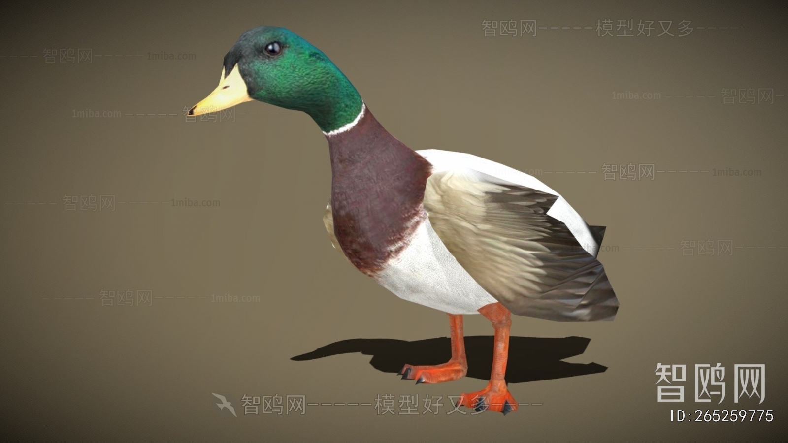 Modern Animal