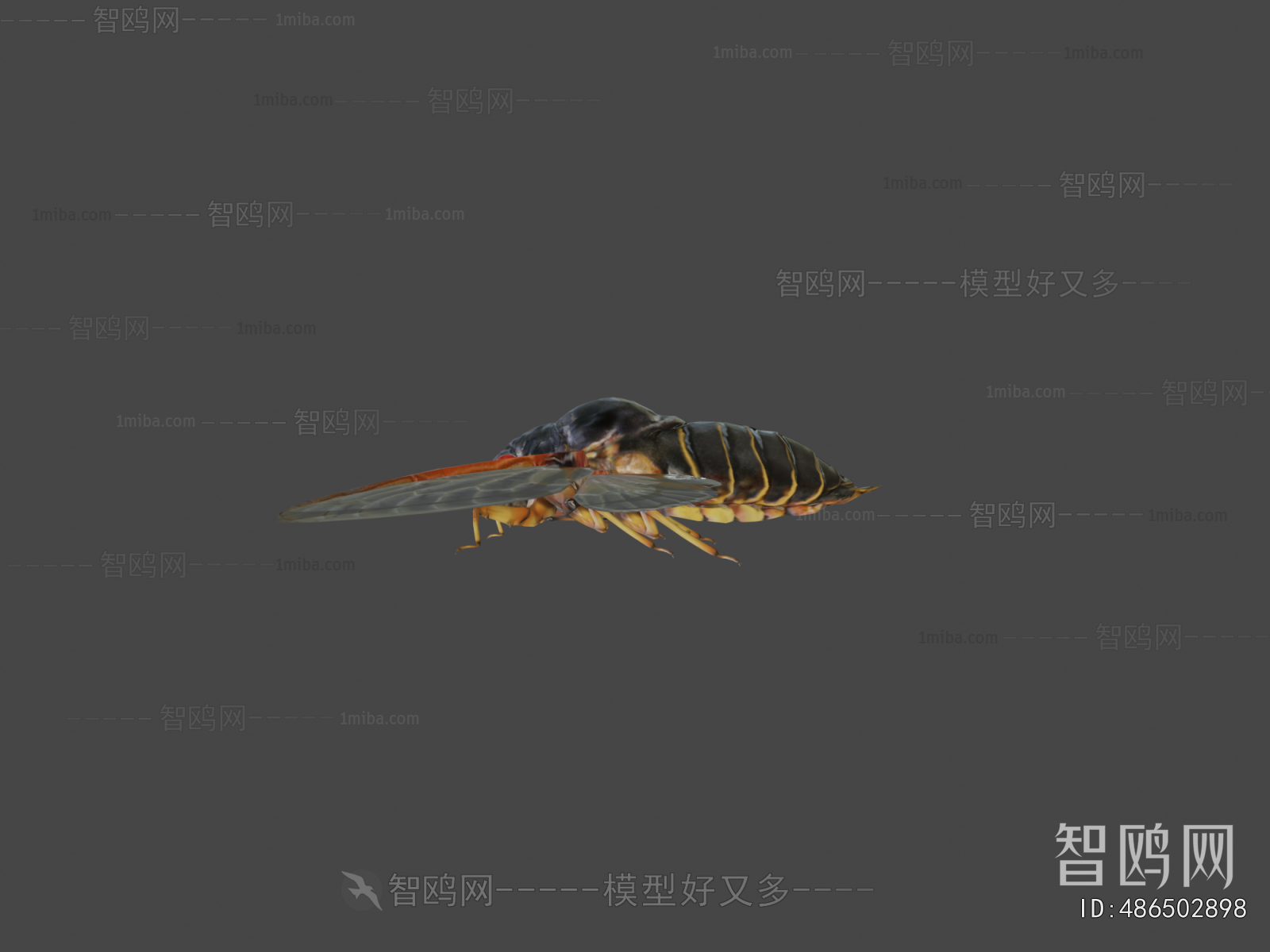 Modern Animal