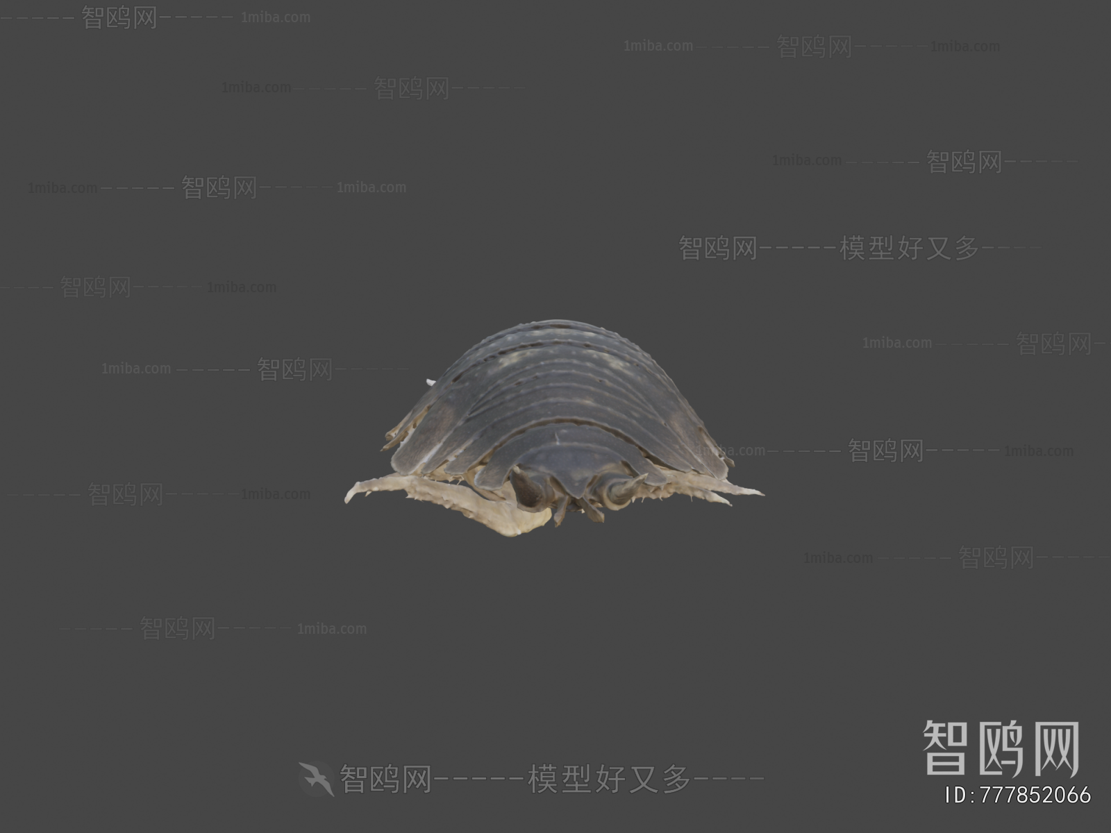 Modern Animal
