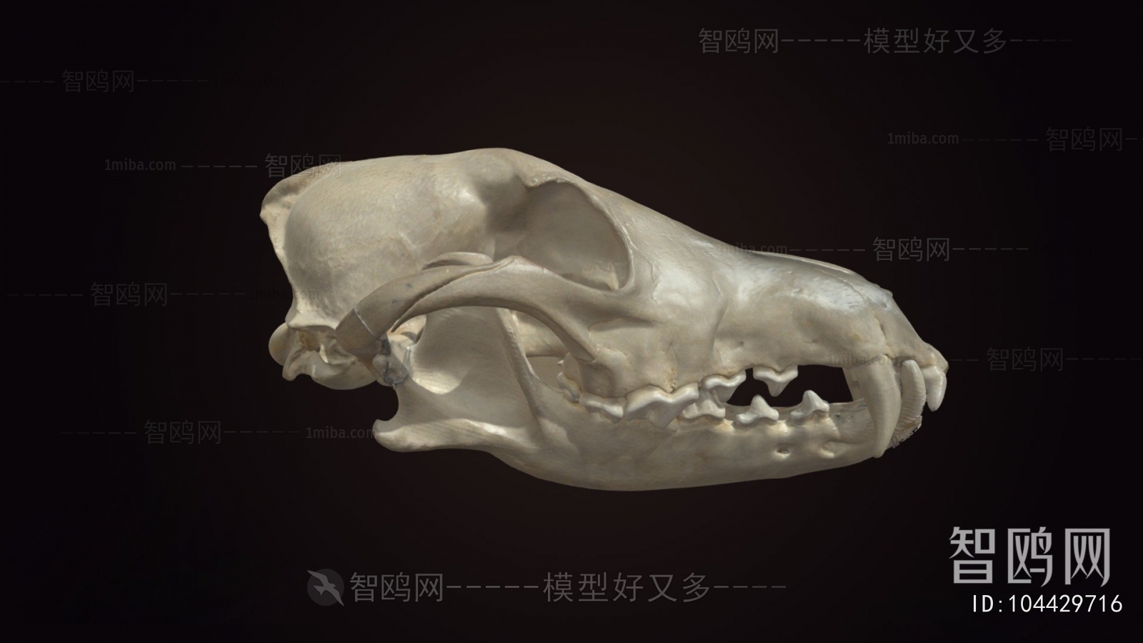 Modern Medical Equipment