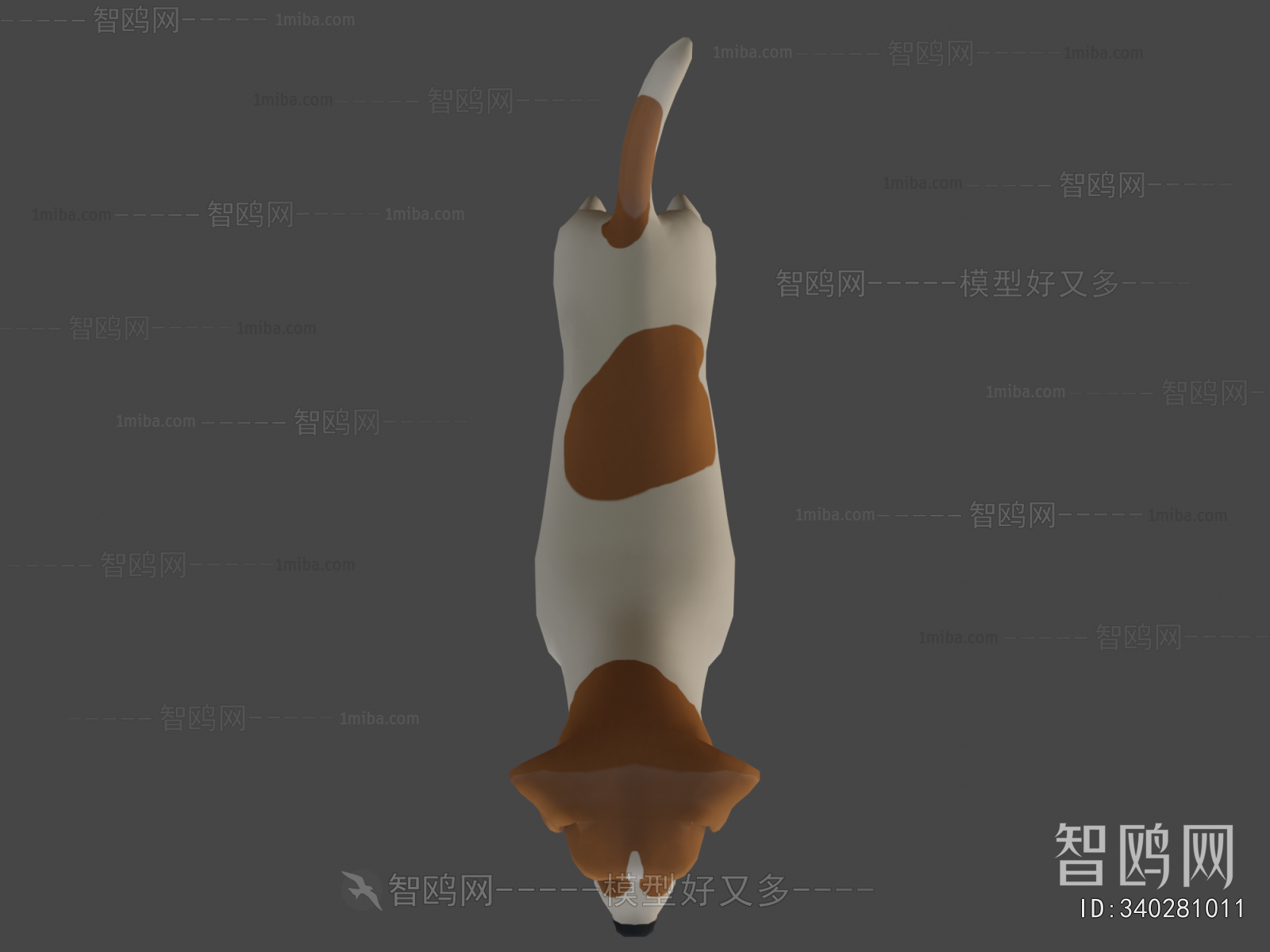 Modern Animal