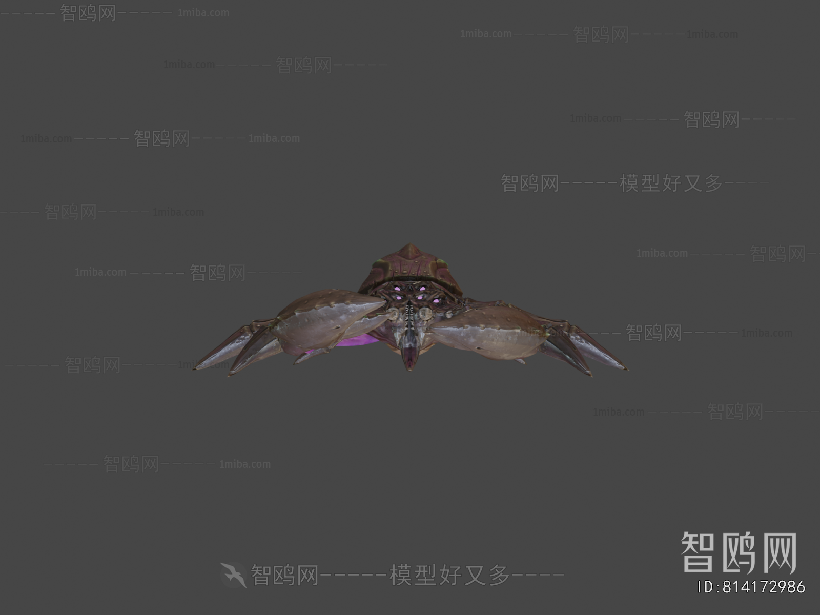 Modern Animal
