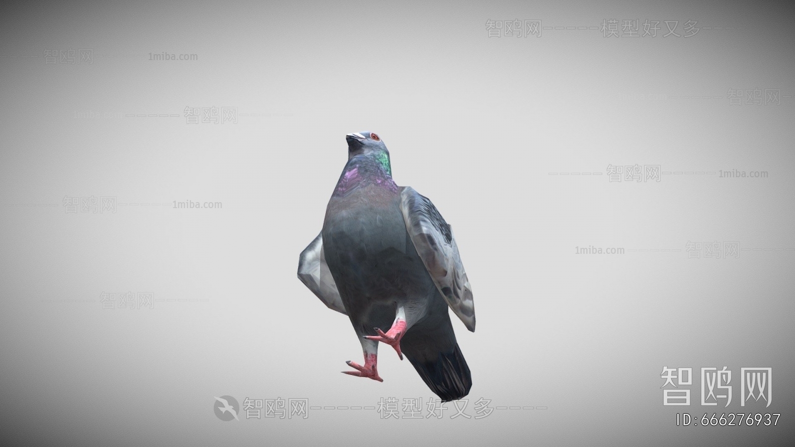 Modern Flying Animals