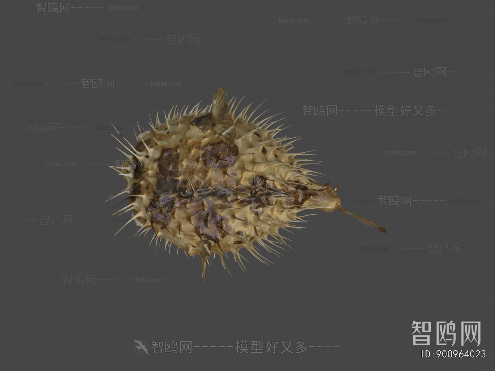 Modern Aquatic Animals