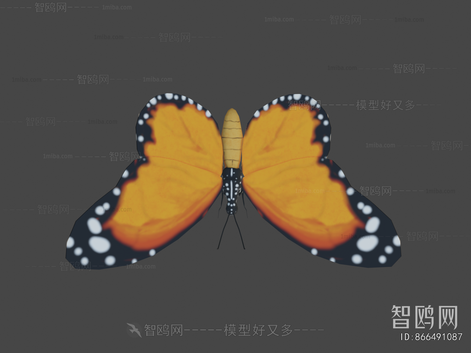 Modern Animal