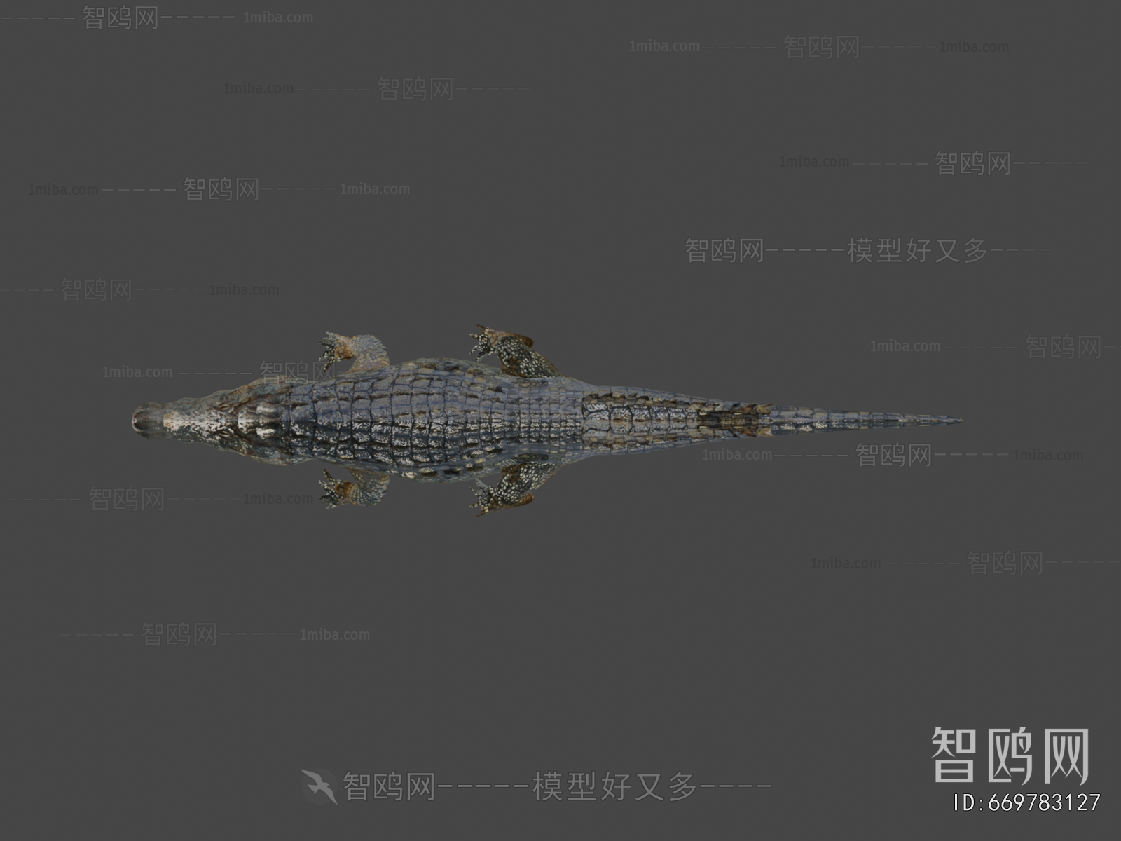Modern Animal
