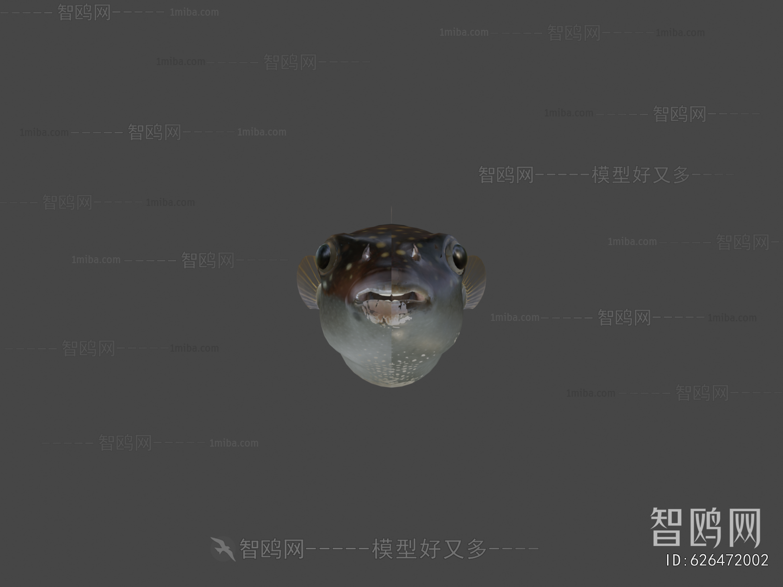 Modern Aquatic Animals
