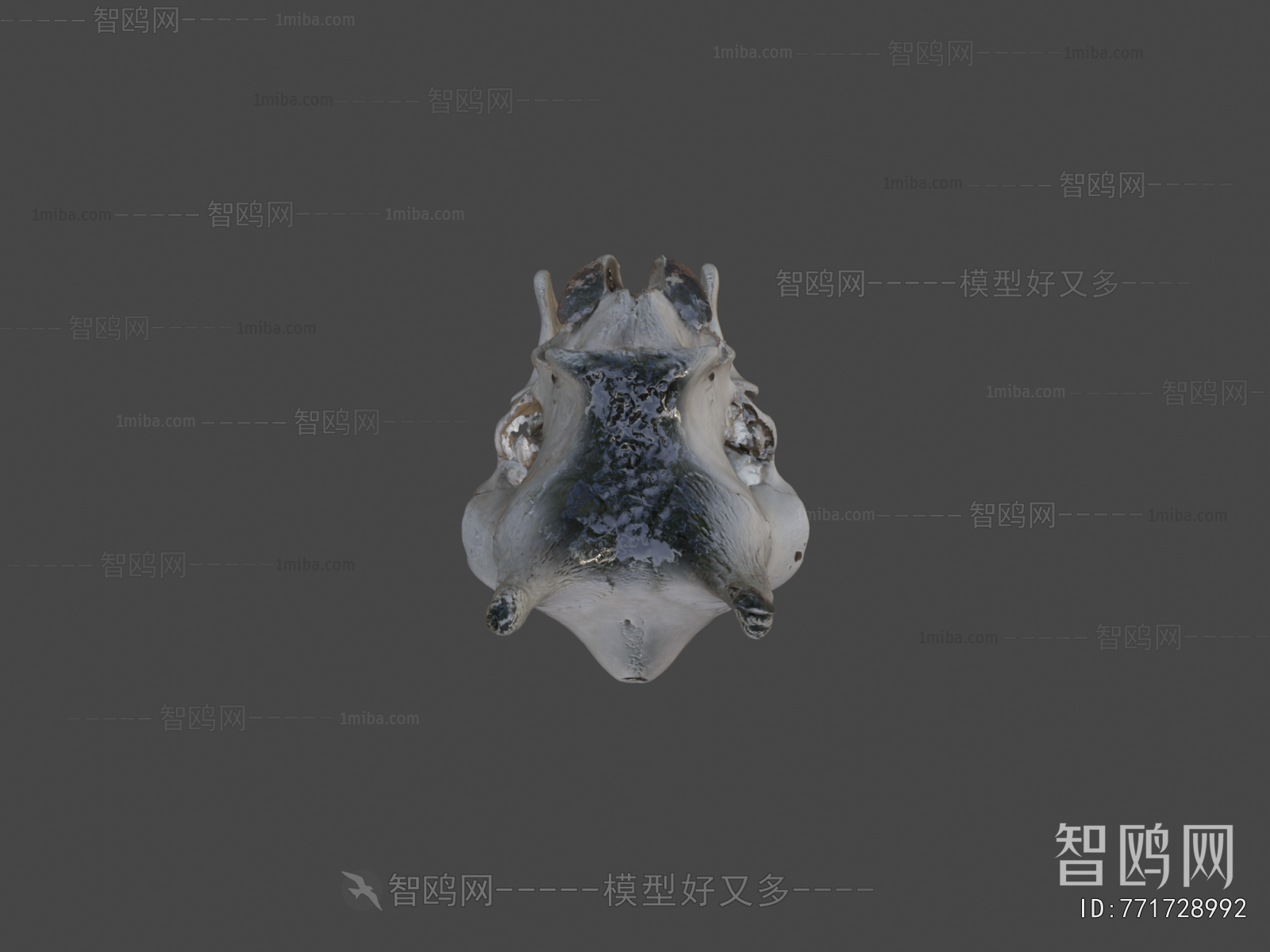 Modern Medical Equipment