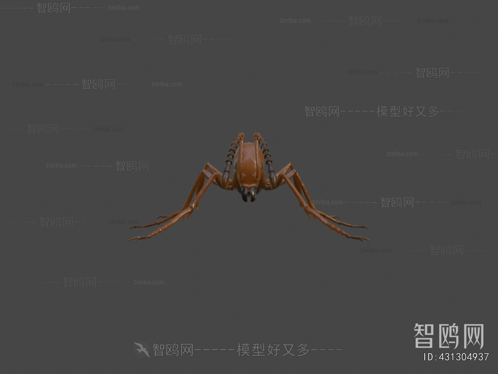Modern Animal