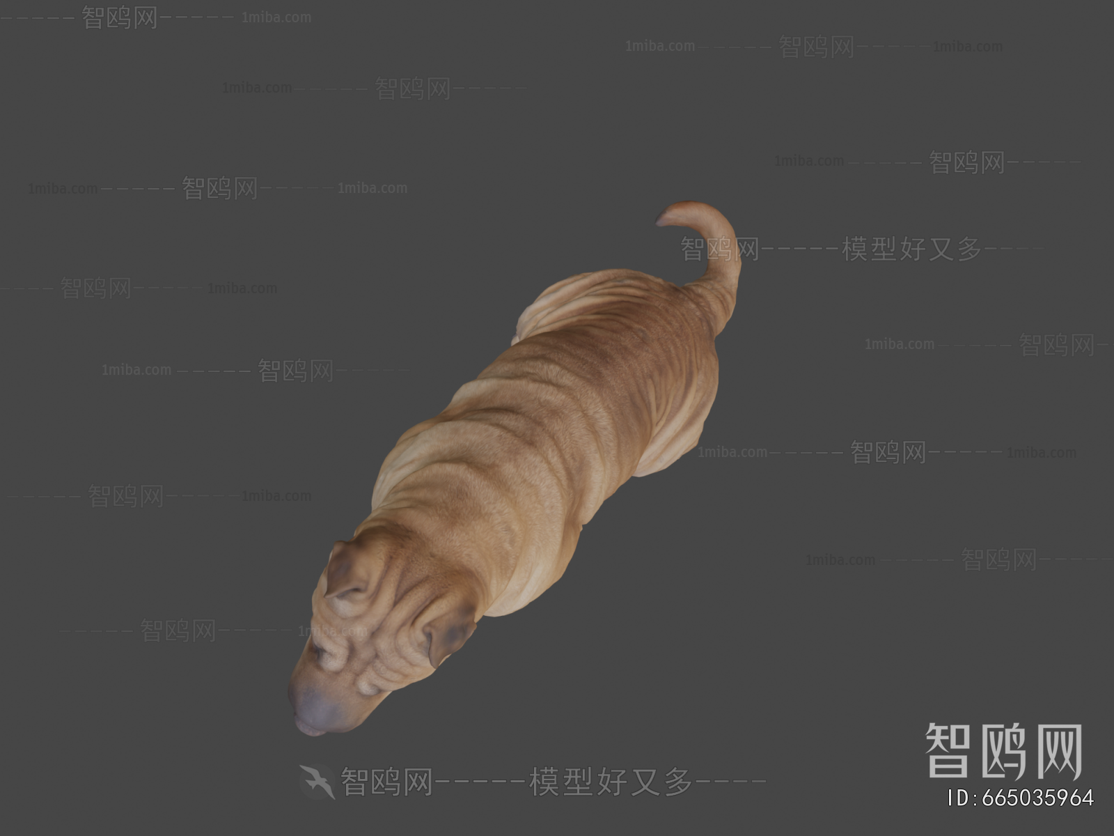 Modern Animal Dog