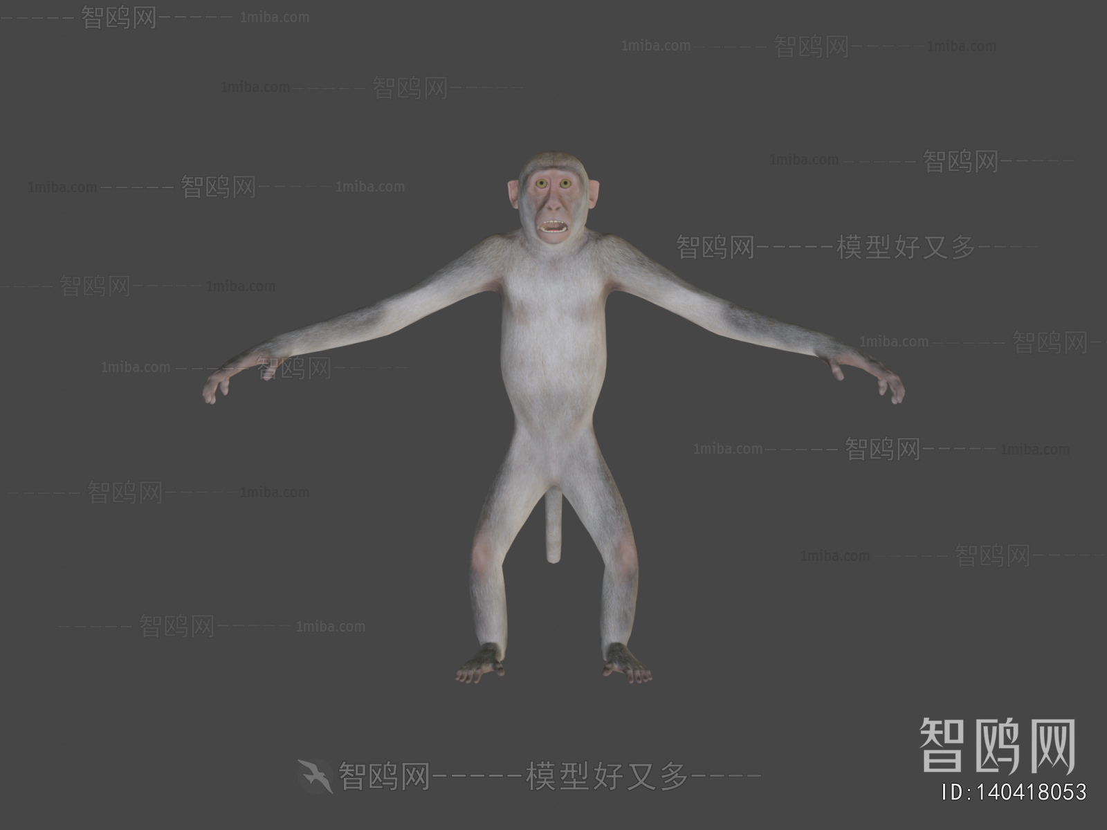 Modern Mammal