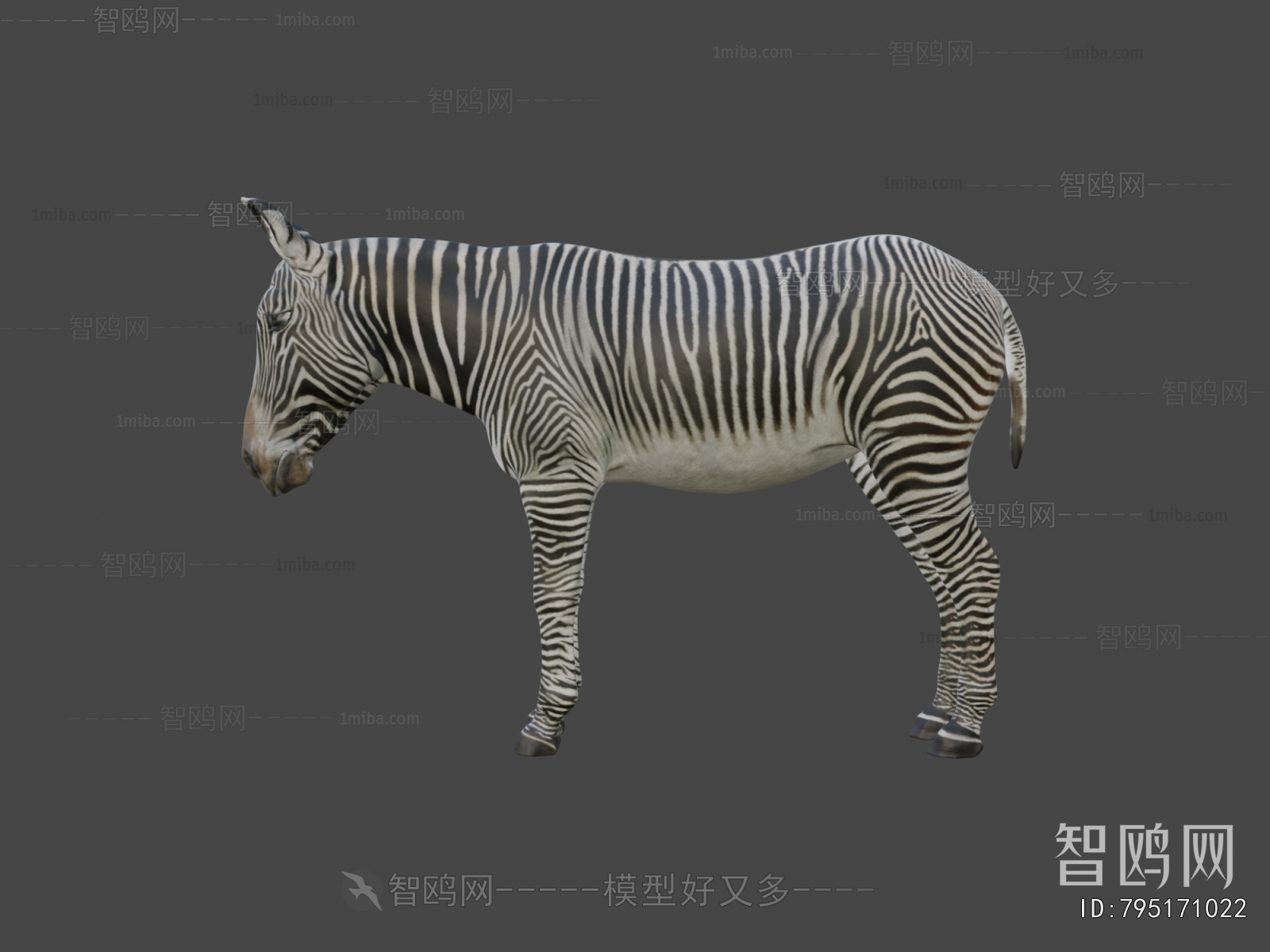 Modern Animal Horse
