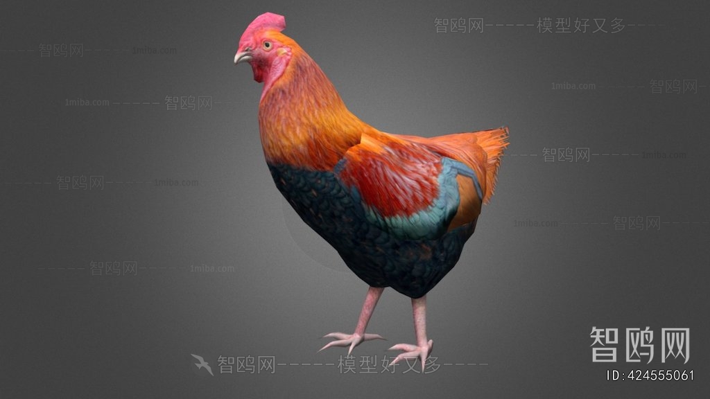 Modern Poultry Animal