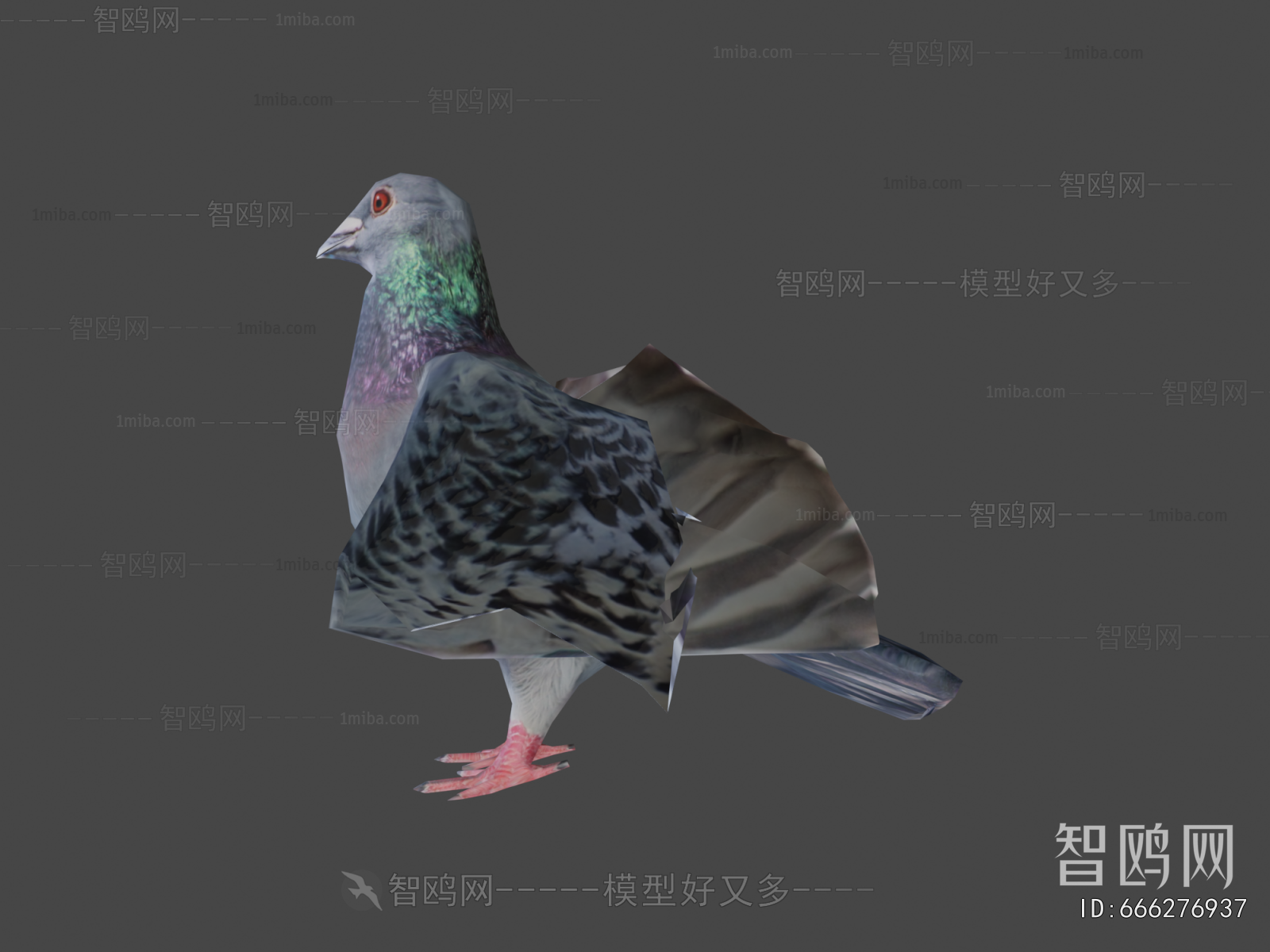 Modern Flying Animals