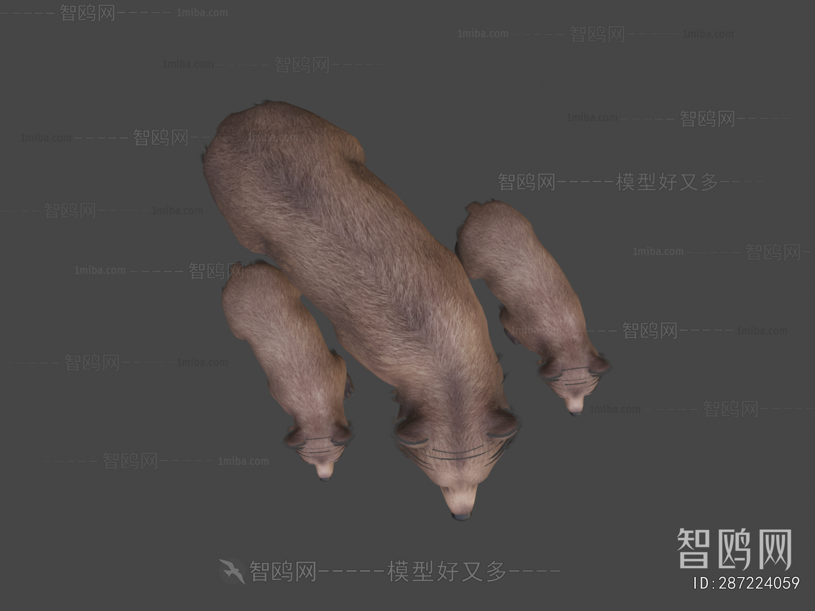 Modern Mammal