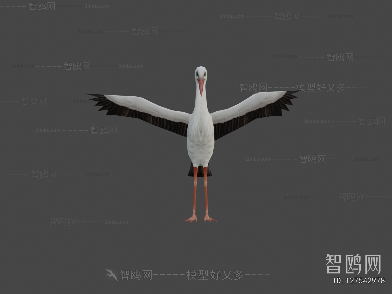 Modern Flying Animals