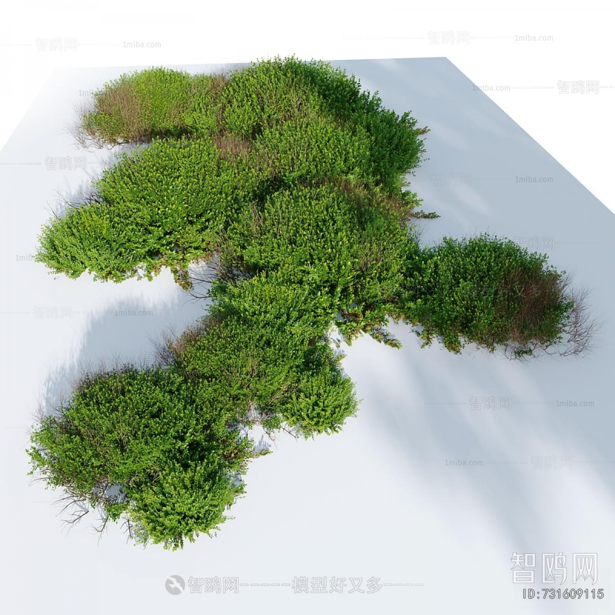 Modern Shrubbery
