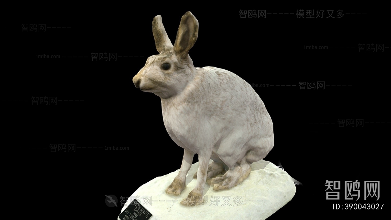 Modern Mammal
