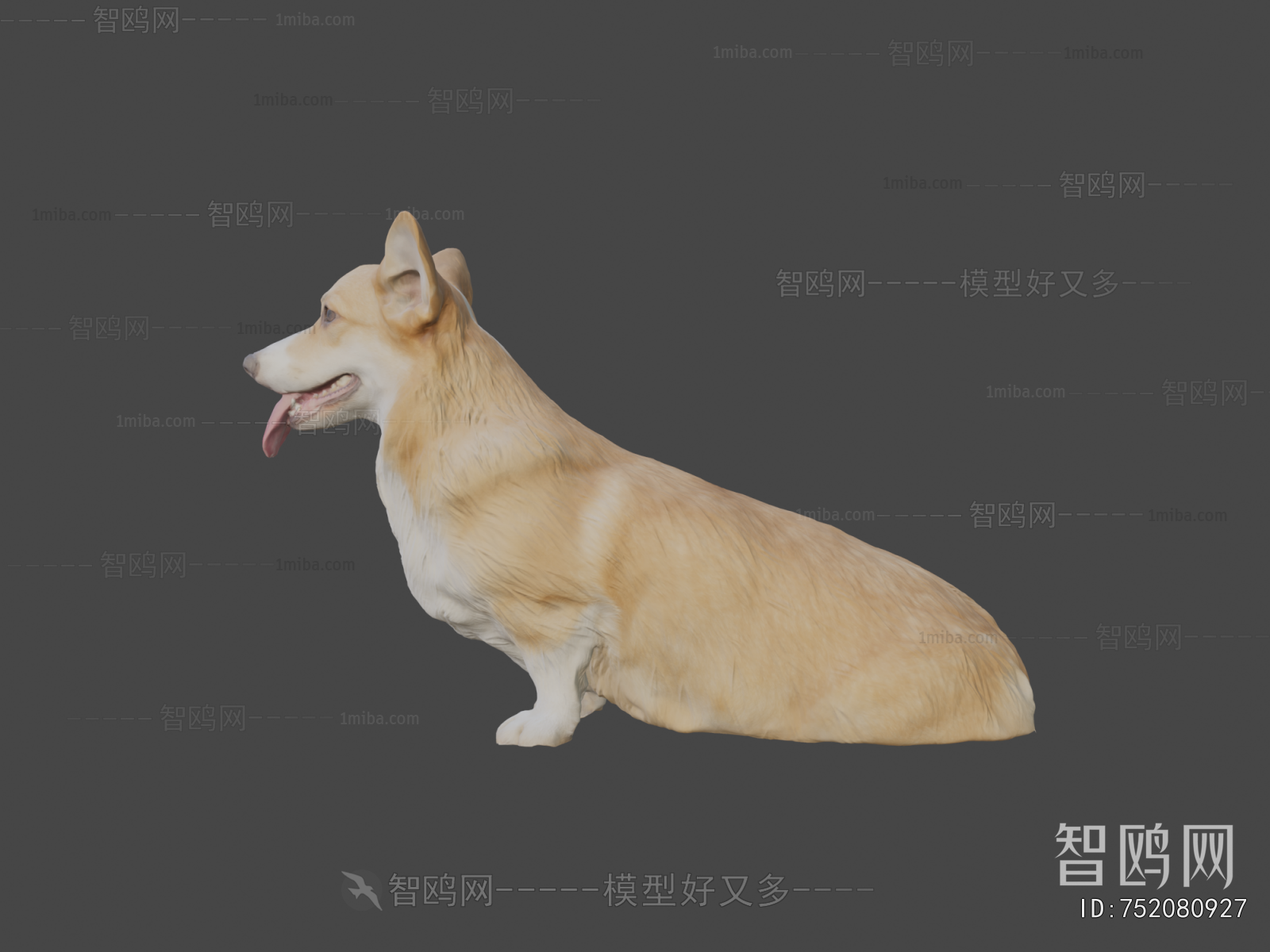 Modern Animal Dog