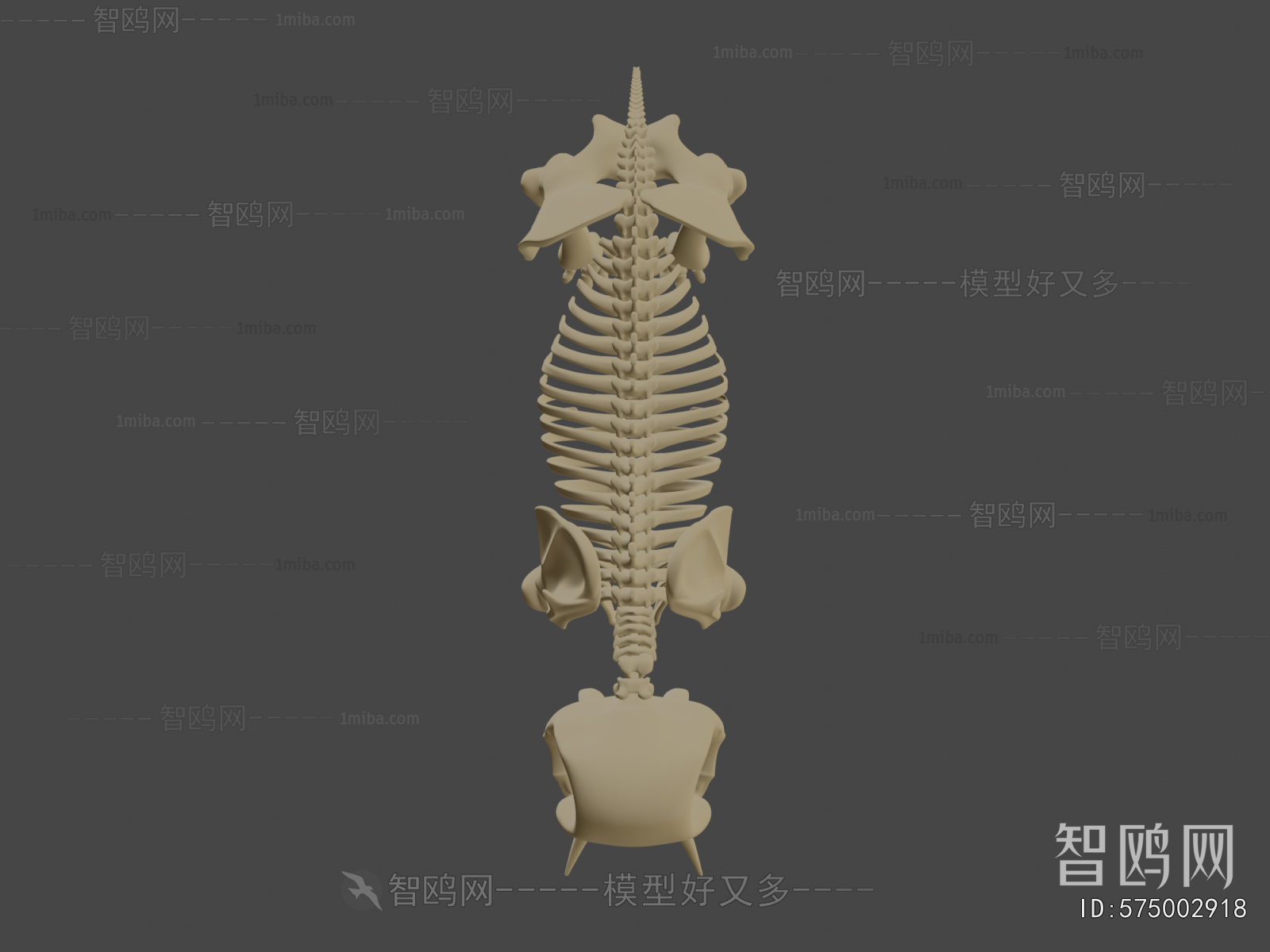 Modern Medical Equipment
