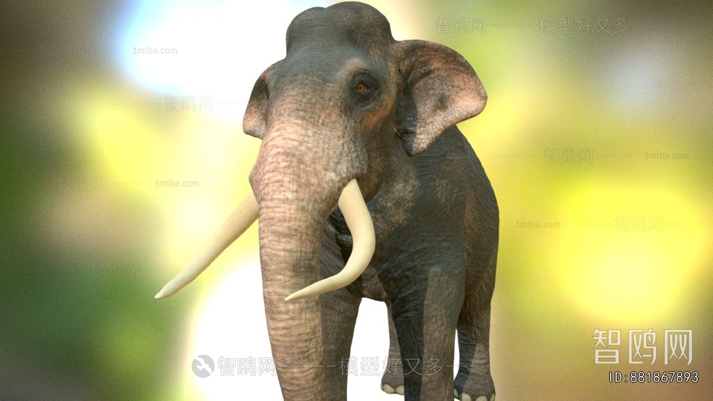 Modern Animal