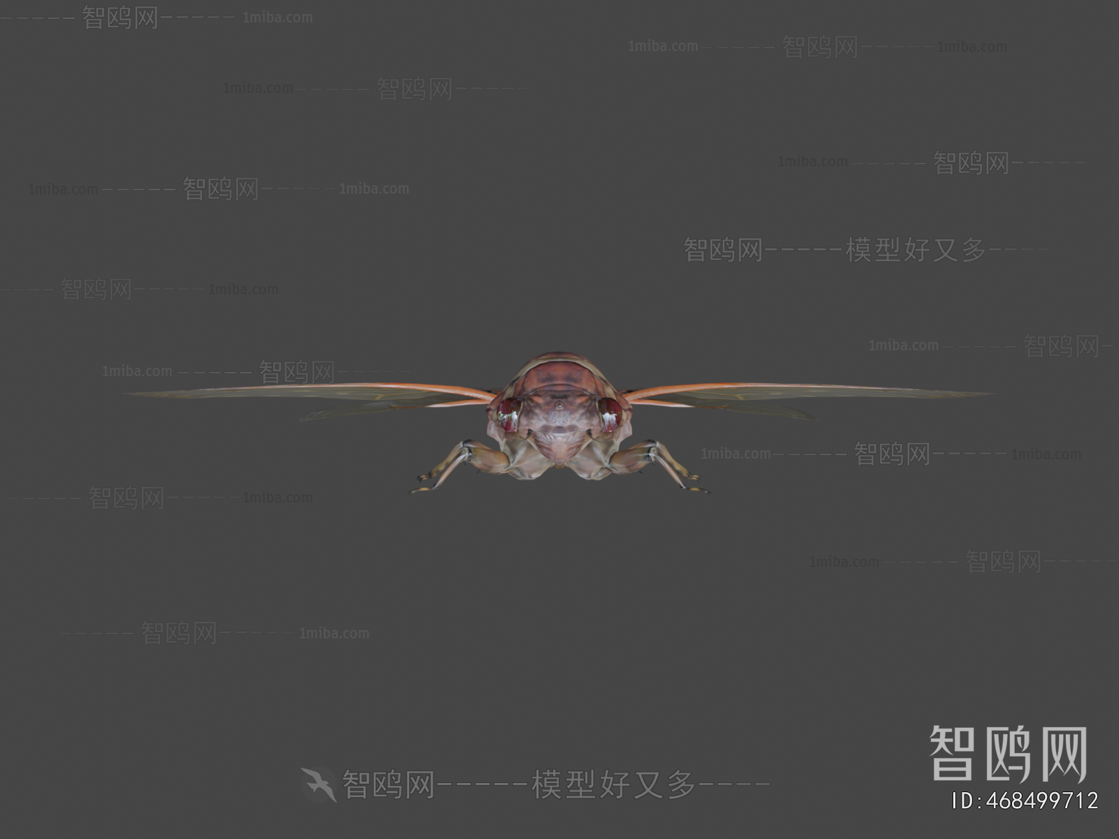 Modern Animal