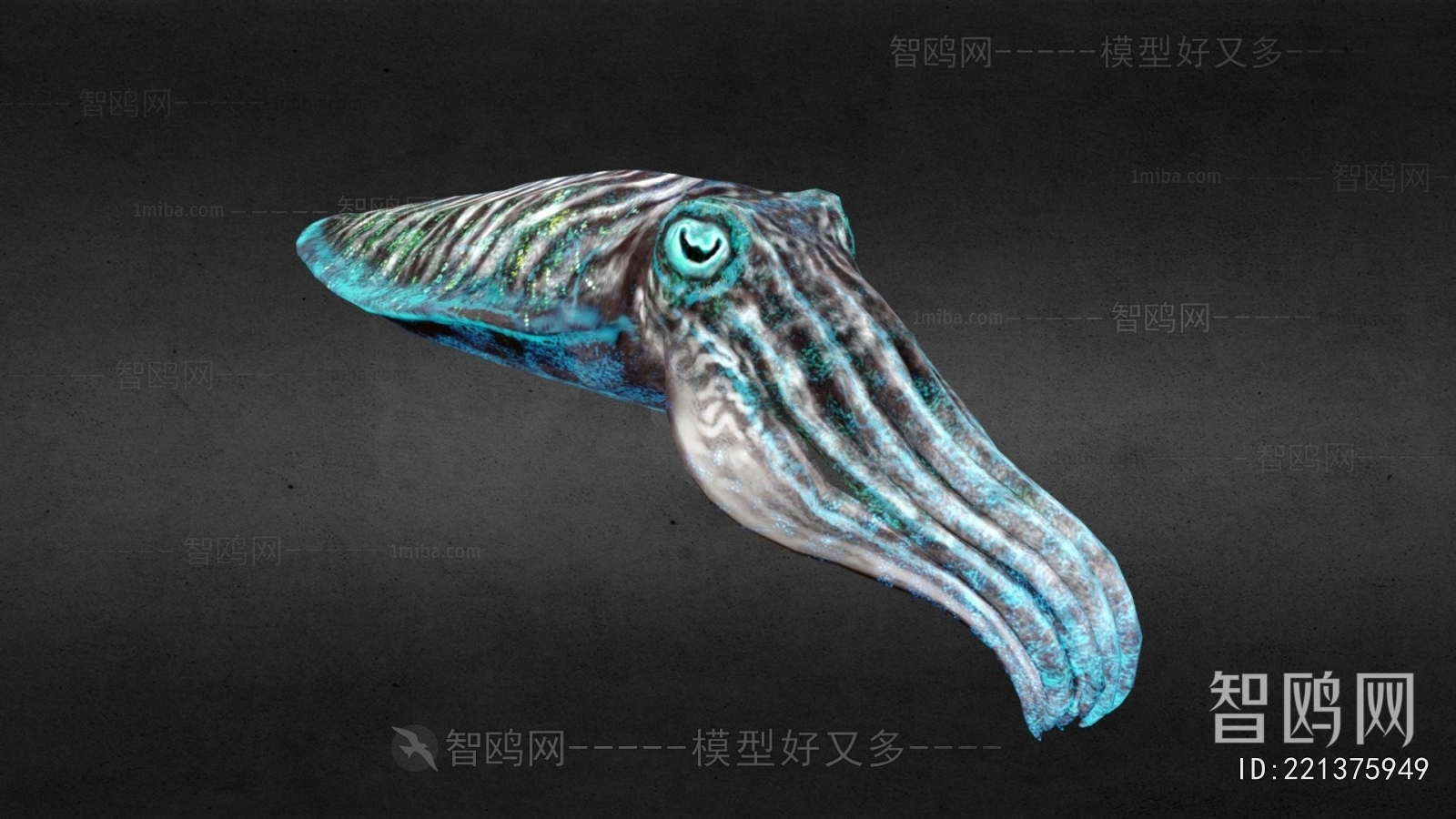 Modern Aquatic Animals