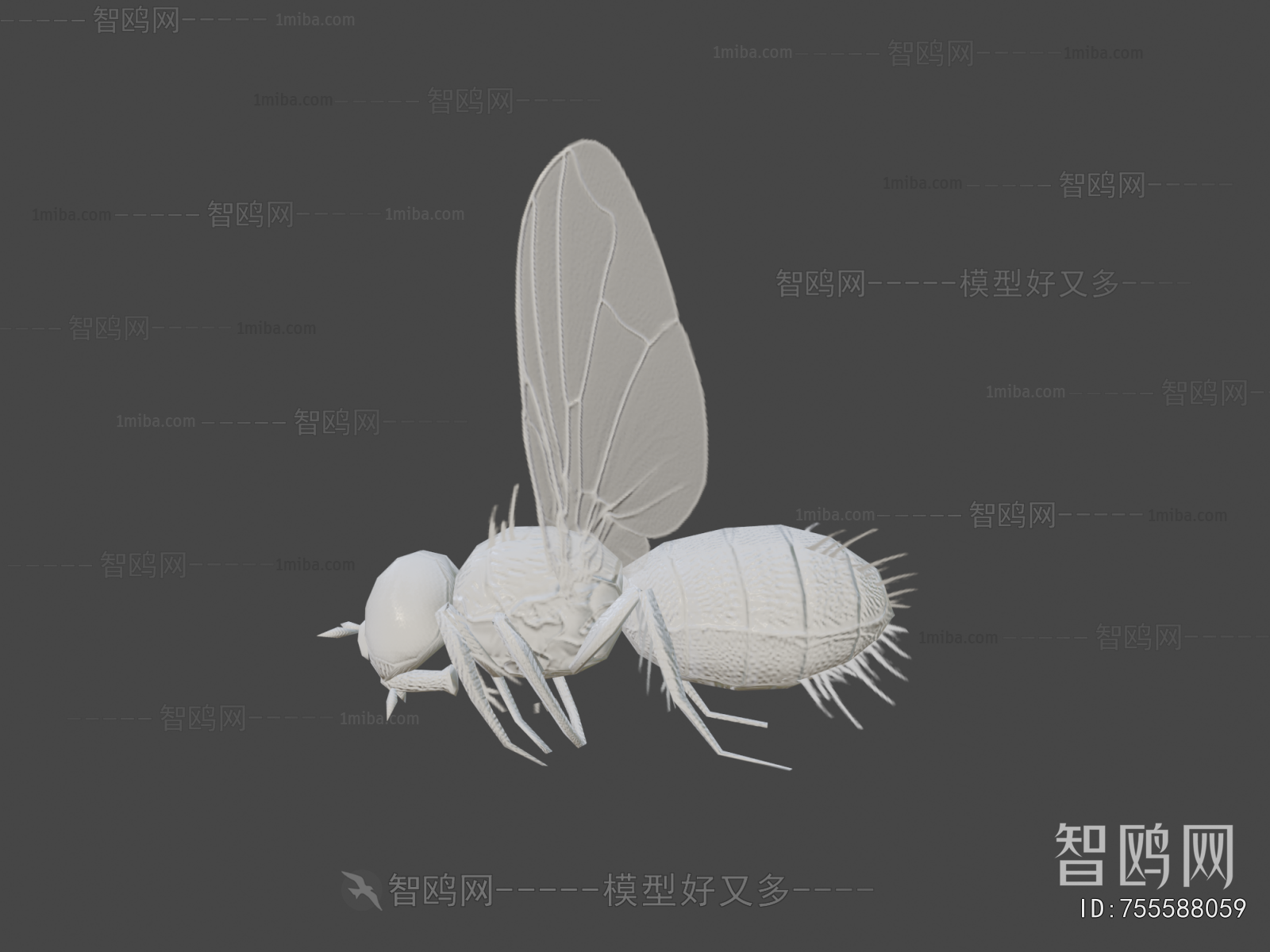 Modern Other Animals