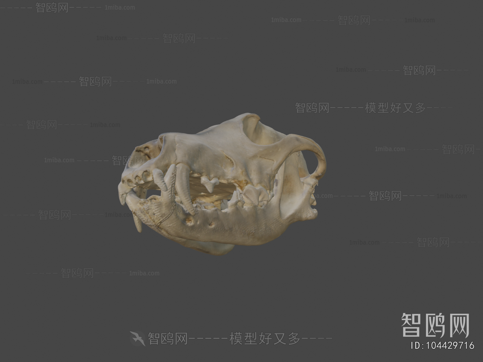 Modern Medical Equipment