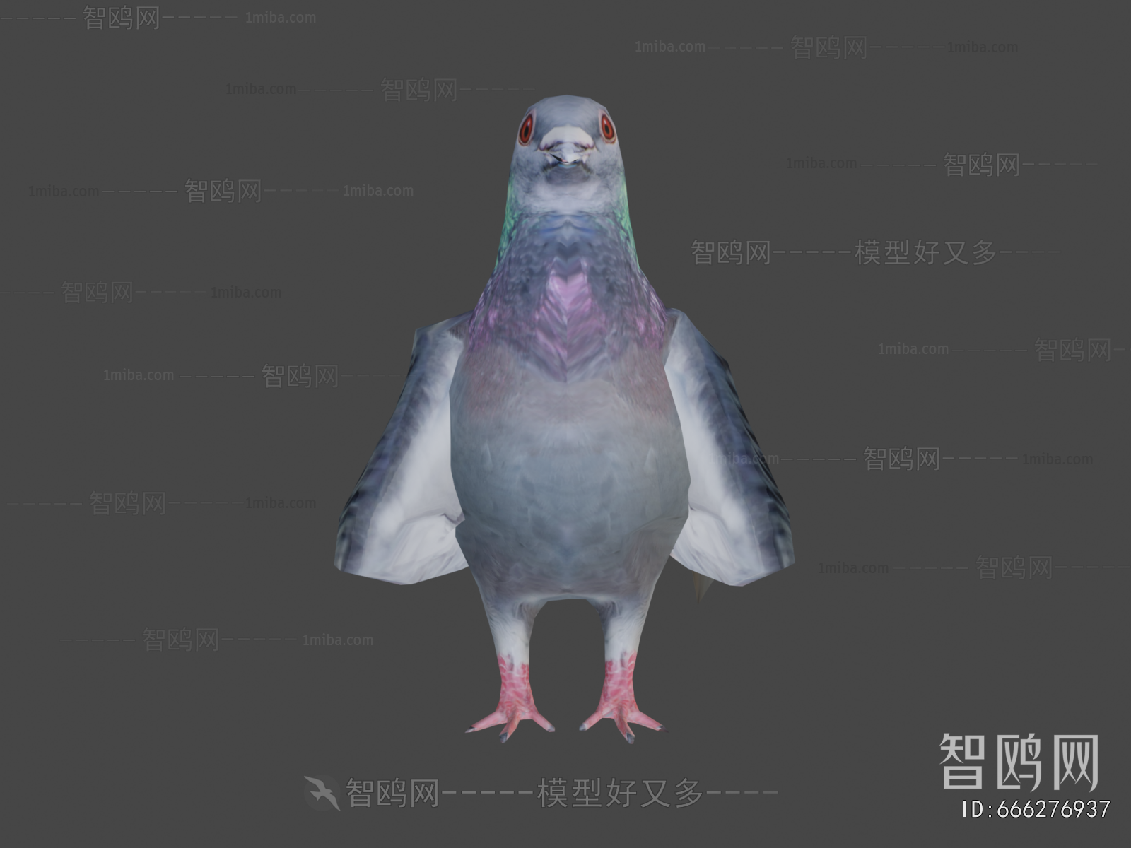 Modern Flying Animals