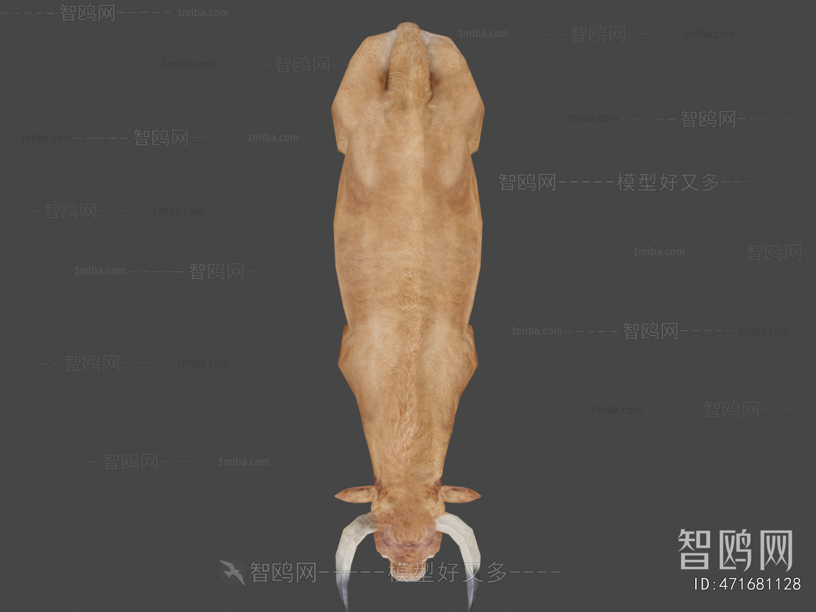 Modern Mammal