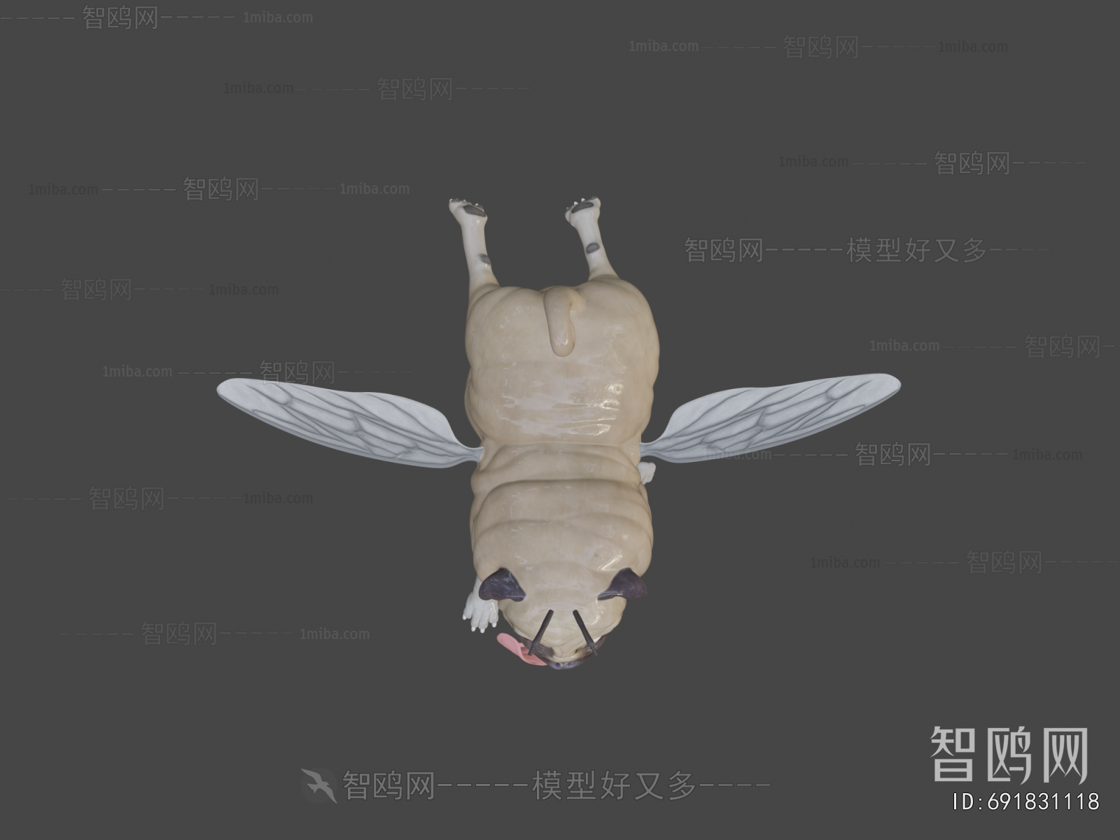 Modern Animal
