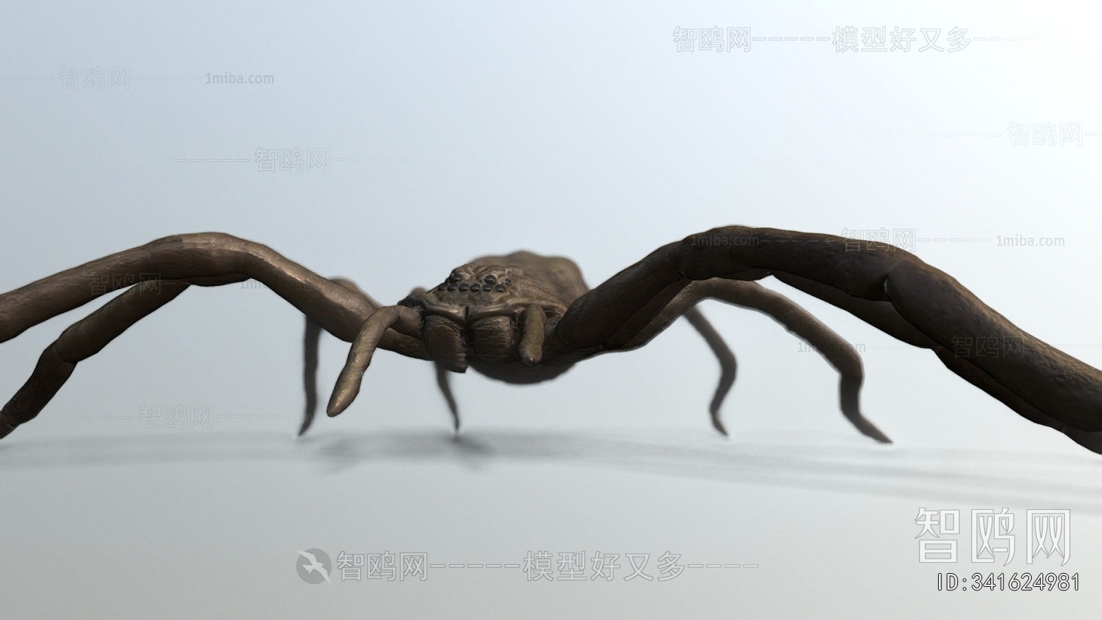 Modern Animal