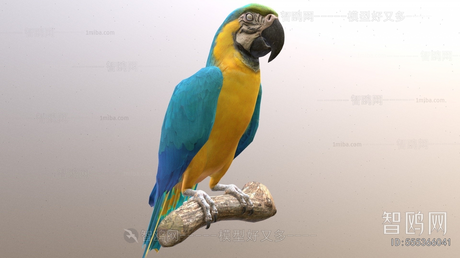 Modern Animal