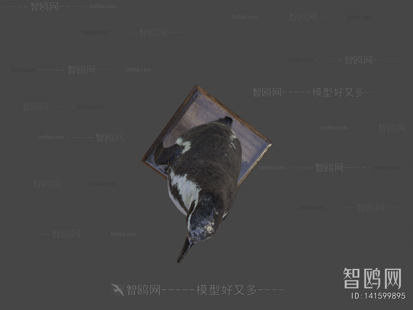 Modern Animal