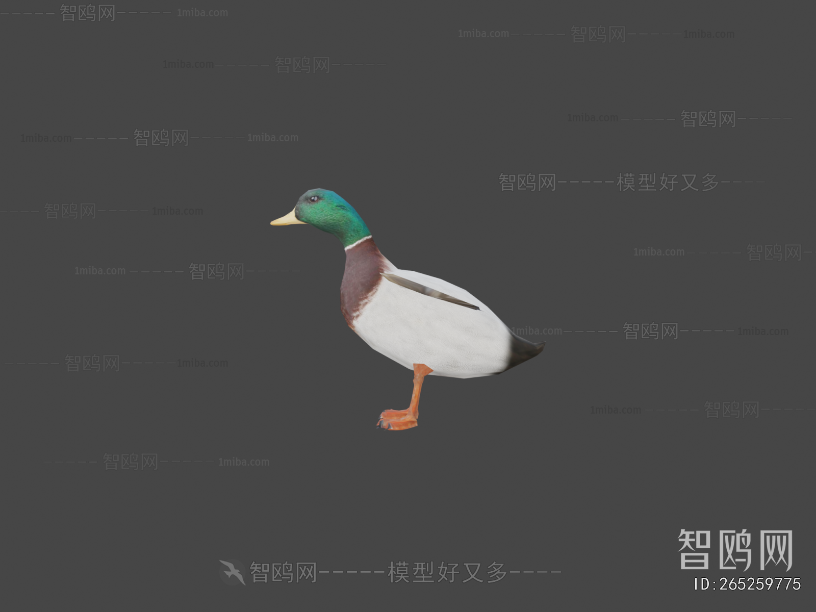 Modern Animal