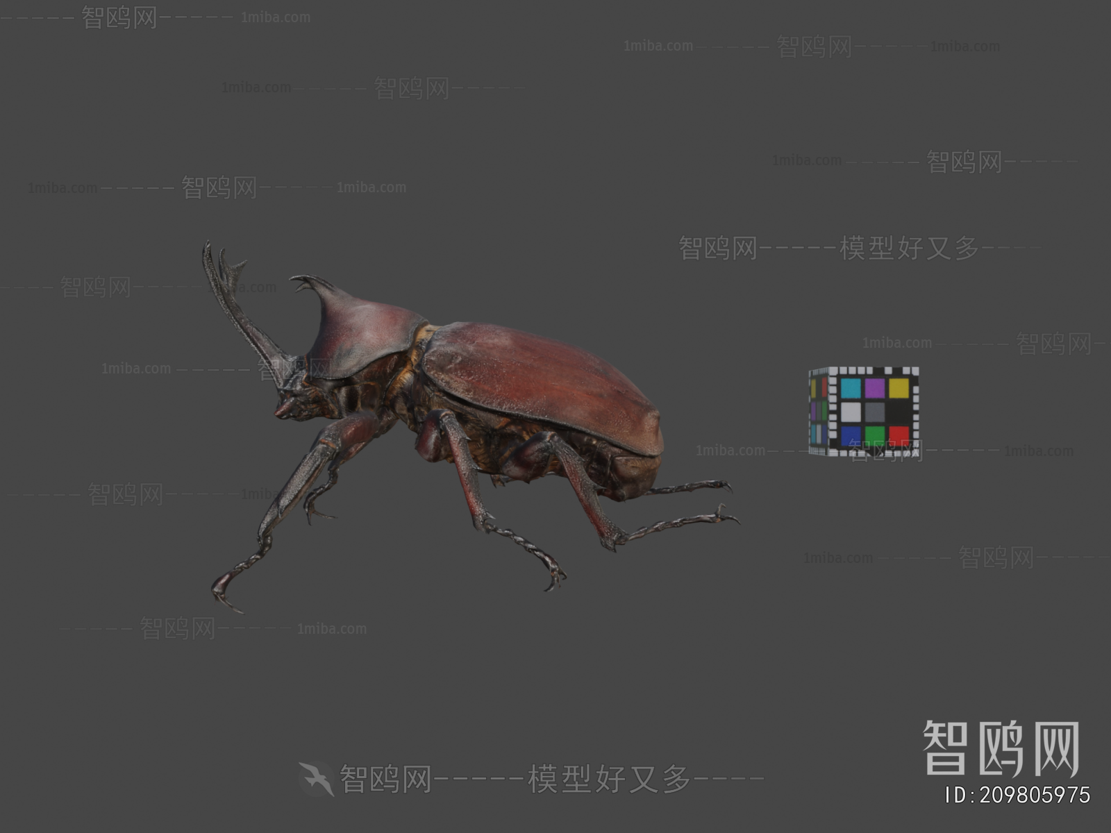 Modern Animal