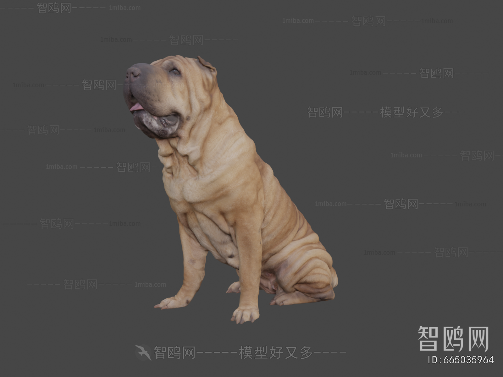 Modern Animal Dog