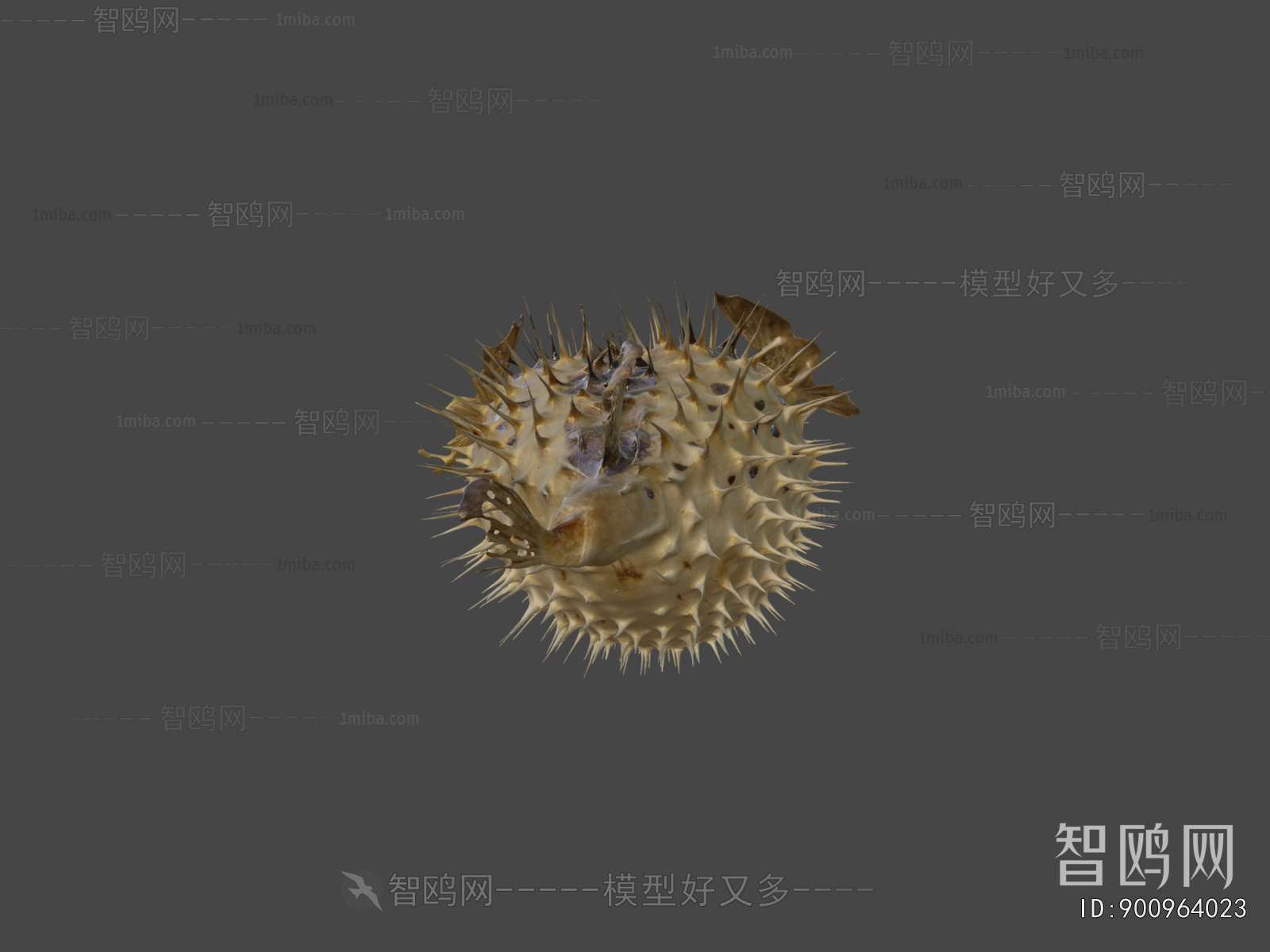 Modern Aquatic Animals