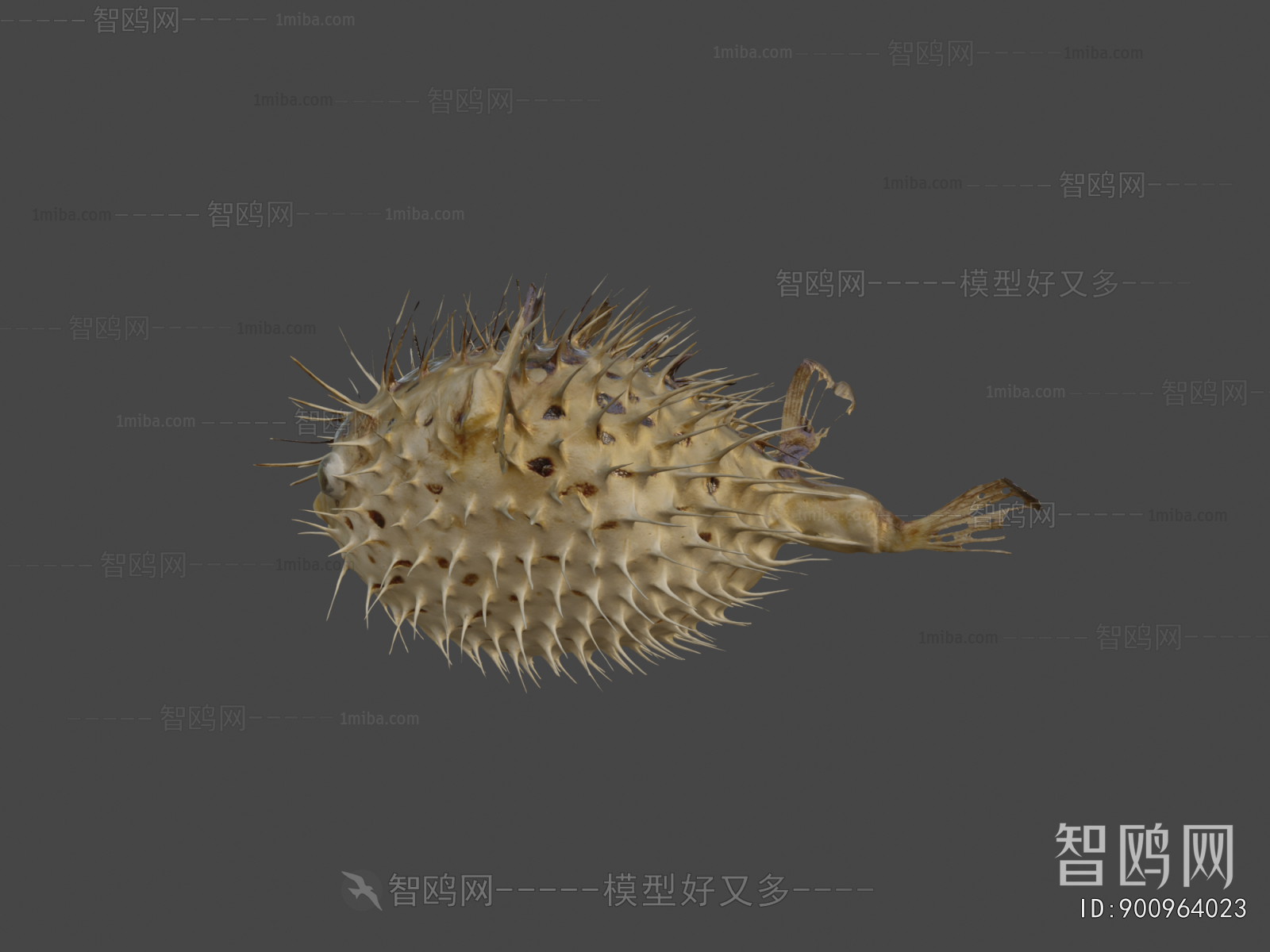 Modern Aquatic Animals