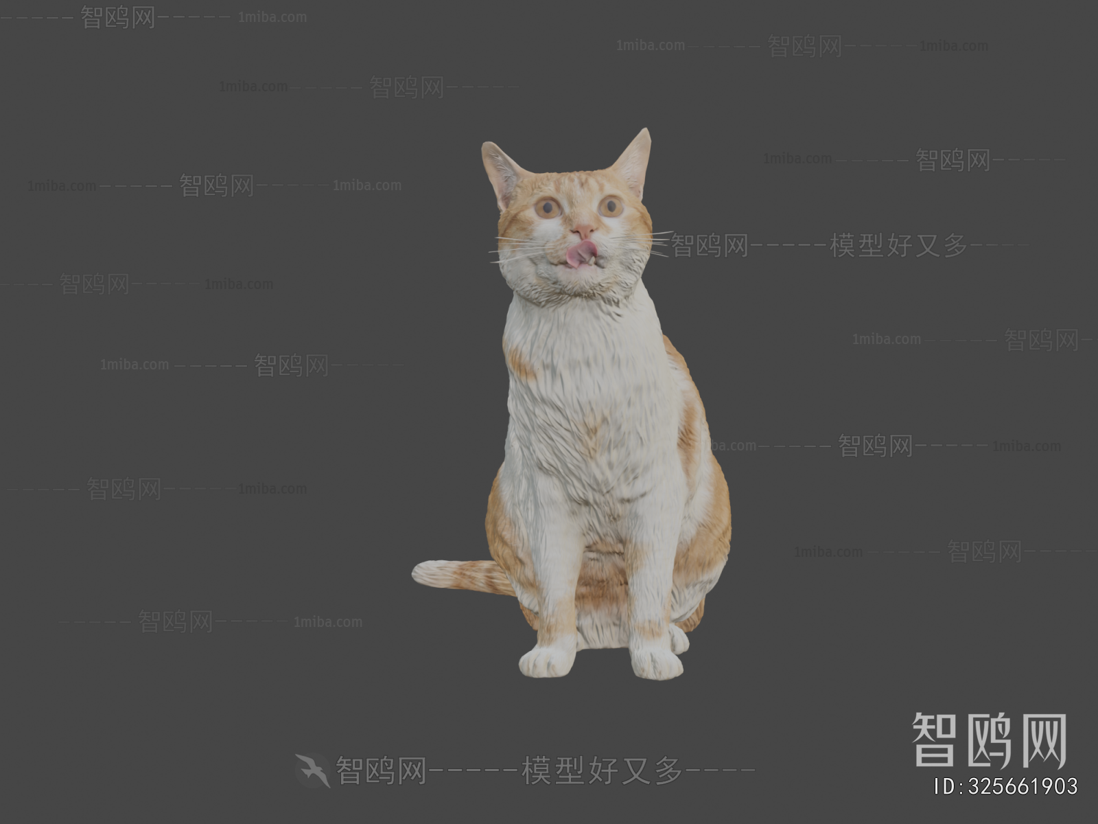 Modern Animal