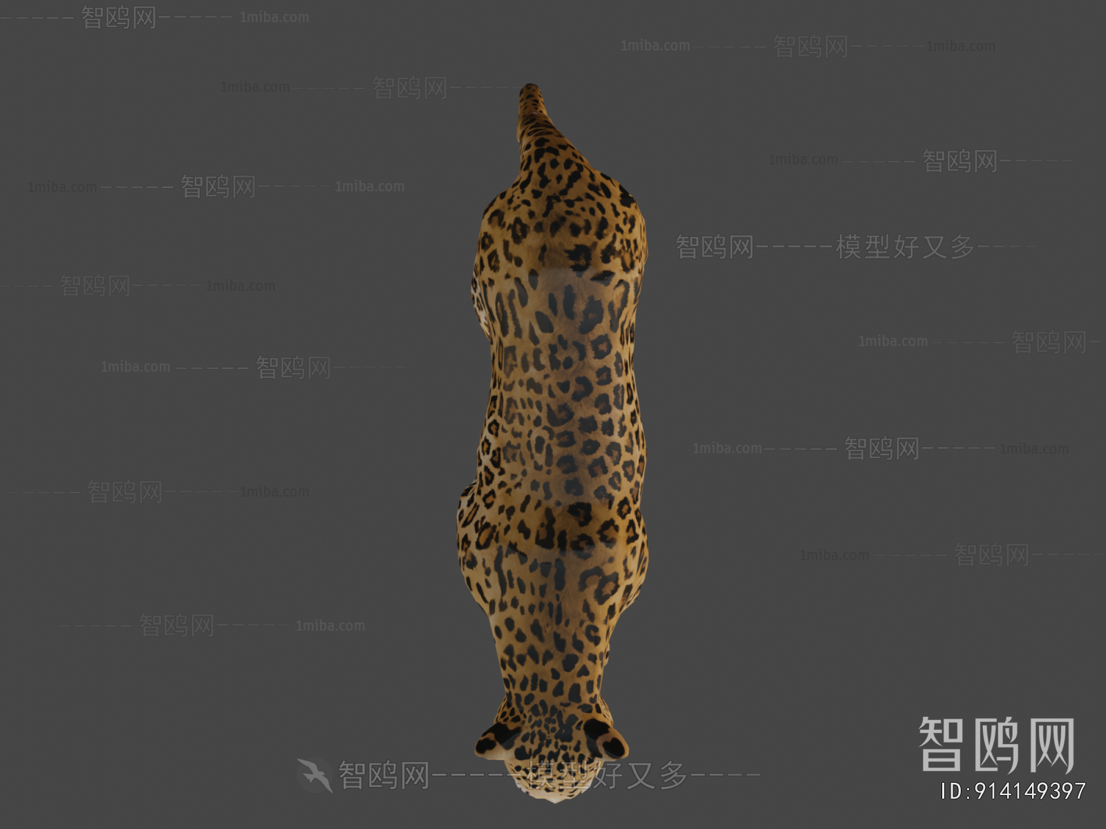 Modern Mammal